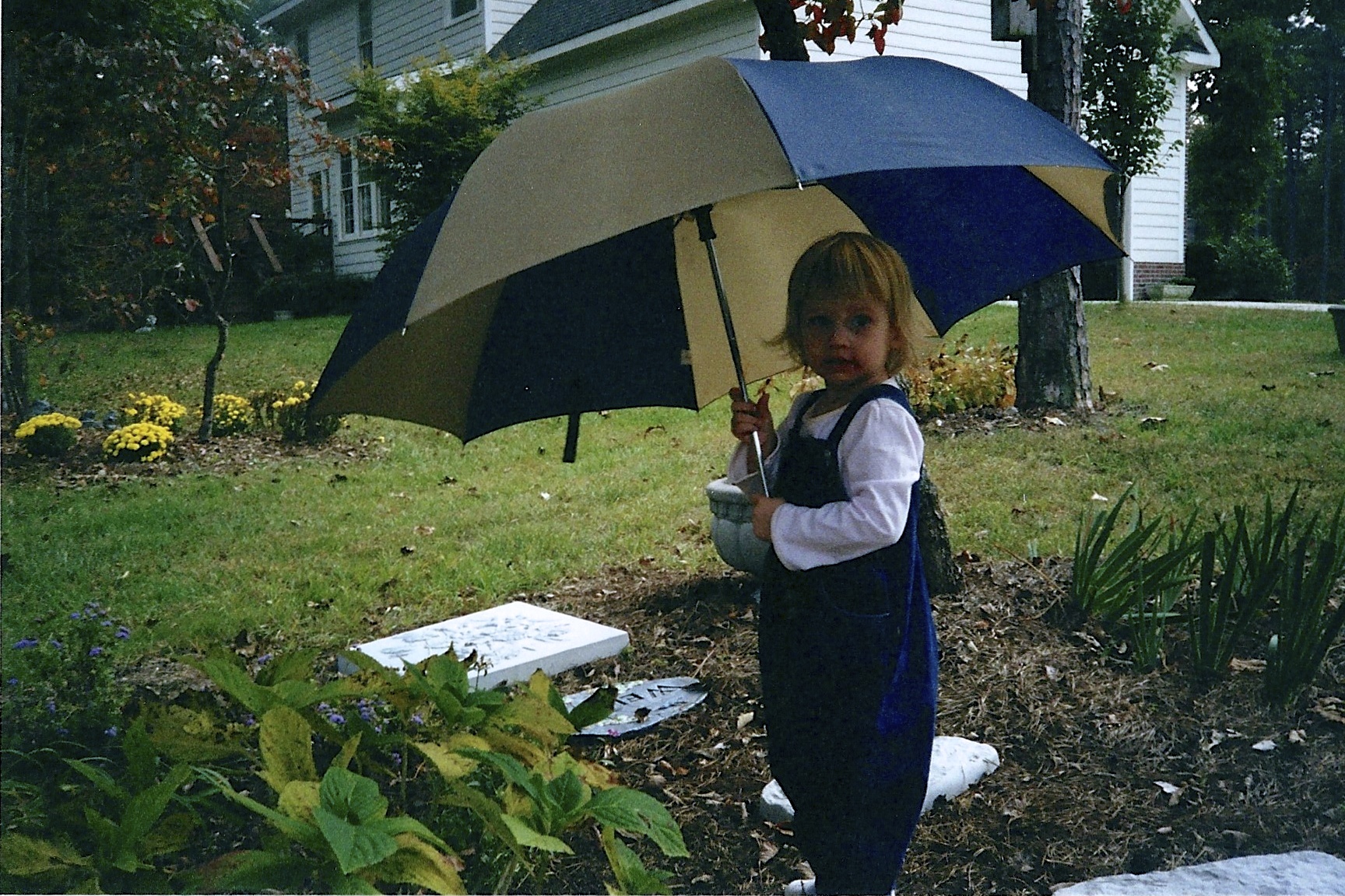 Taylor in the garden